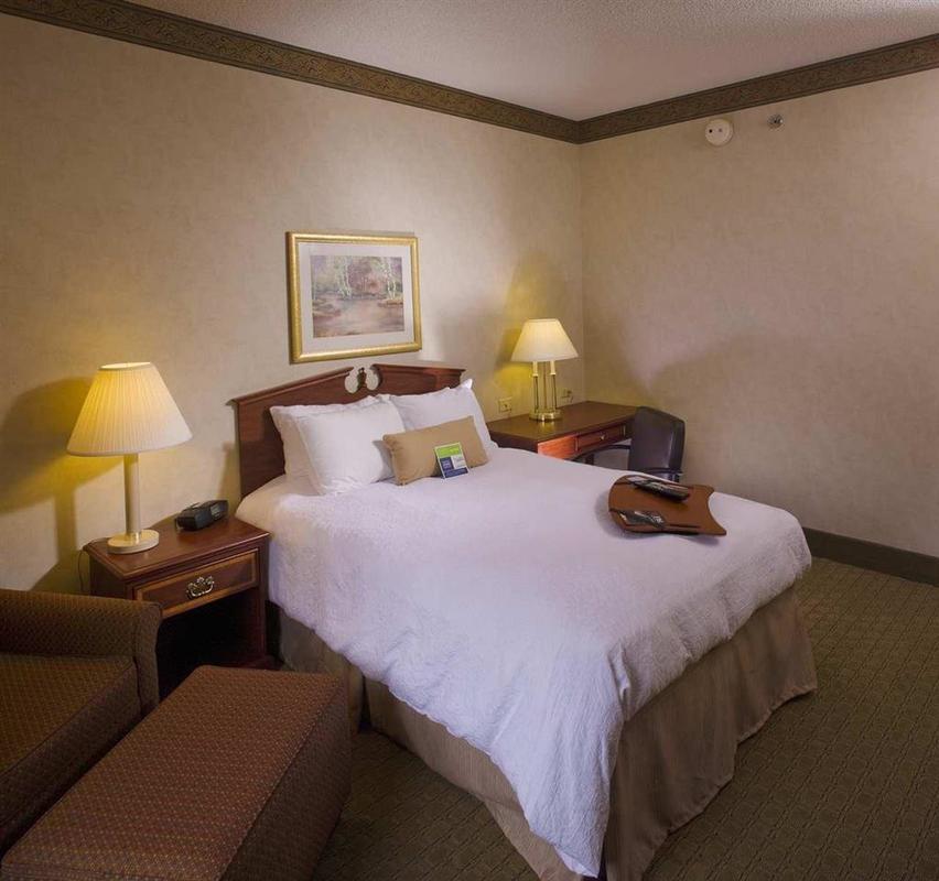 Hampton Inn&Suites Asheville Airport Fletcher Chambre photo