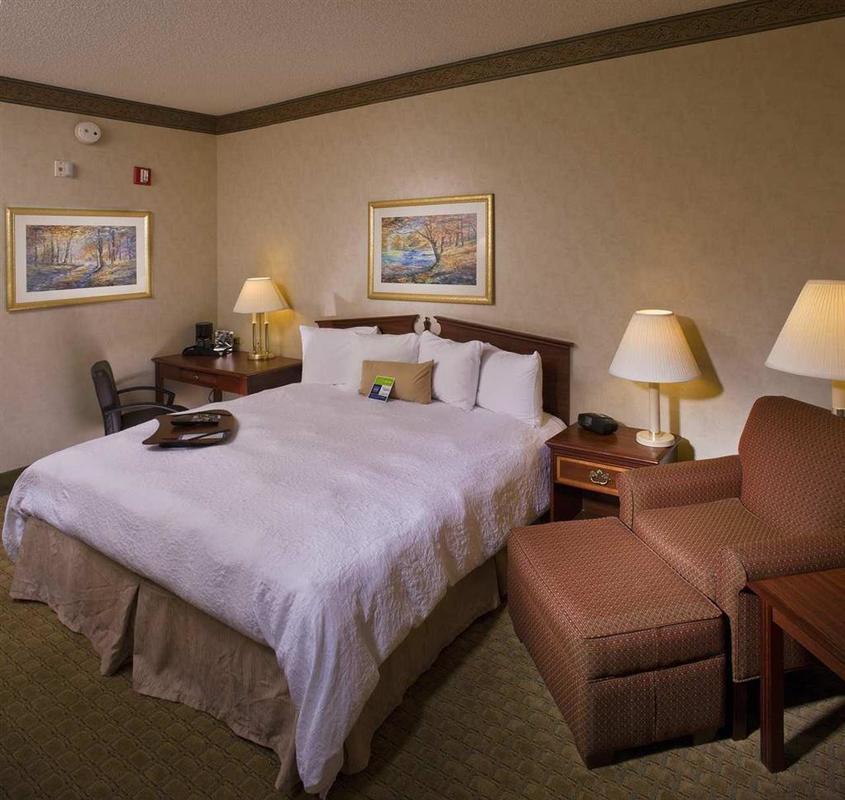Hampton Inn&Suites Asheville Airport Fletcher Chambre photo